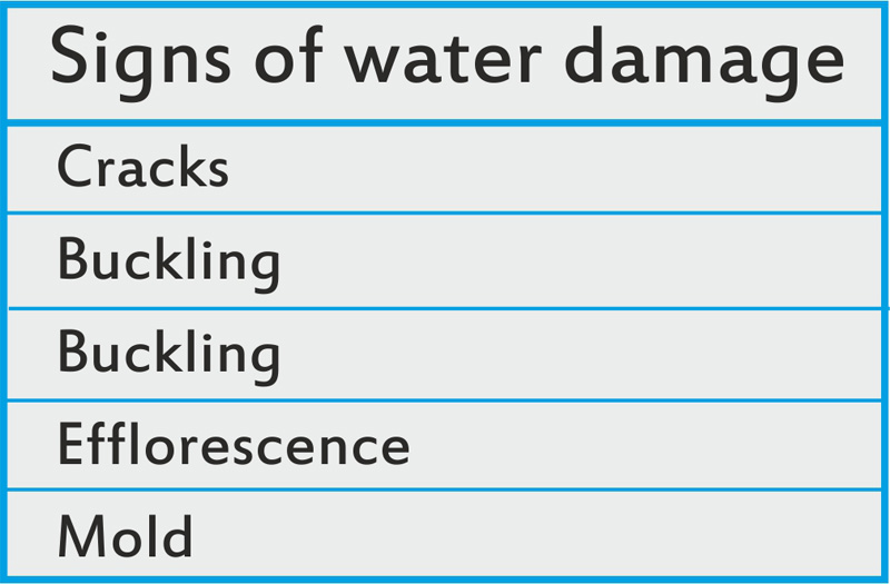 Infograph