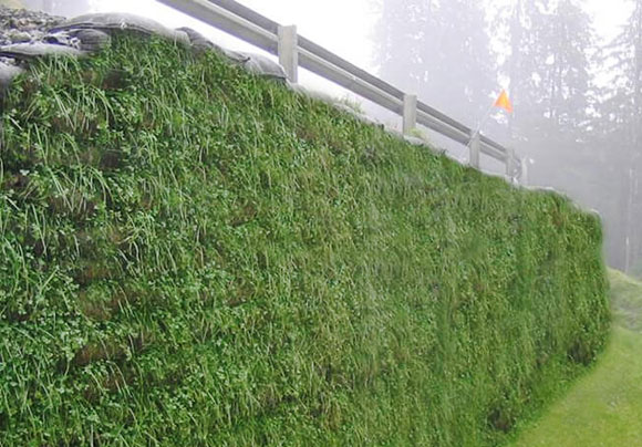 Designs and Types of Retaining Wall 17 retaining wall 001