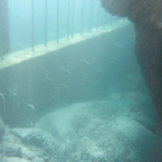 underwater concreting methods
